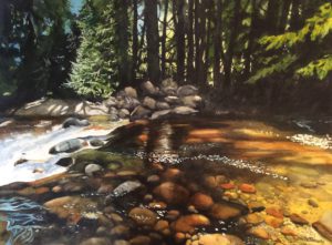 Chapman Creek